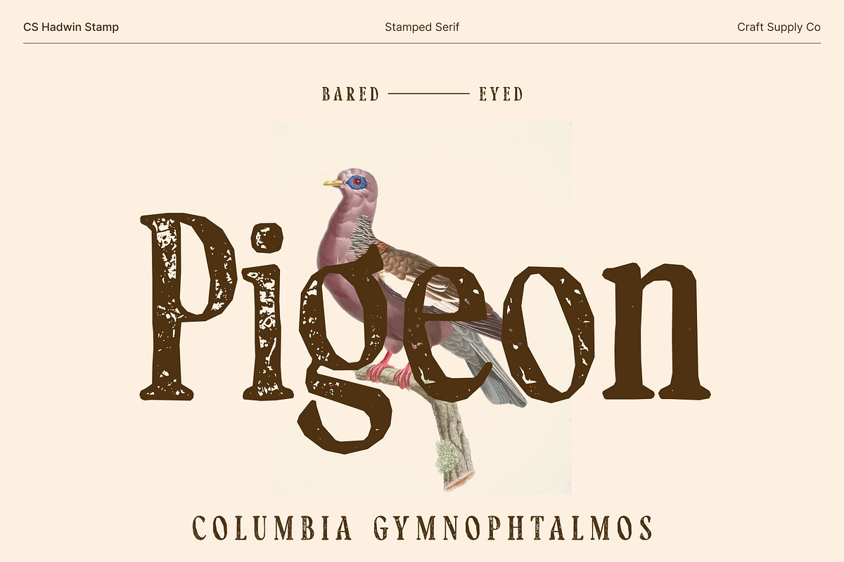 CS Hadwin Stamp, a Serif Font by Craft Supply Co. (Photo 7 of 8)
