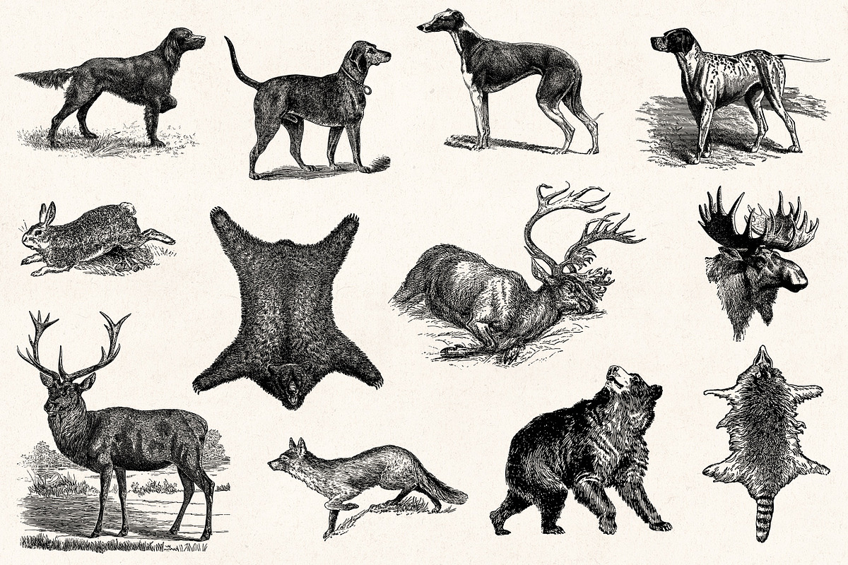 Hunting - Vintage Illustrations, a Sport Illustration by Graphic Goods (Photo 6 of 12)