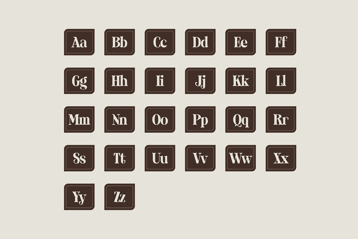 Laderhaus - Display Font, a Serif Font by Studio Moara (Photo 2 of 11)