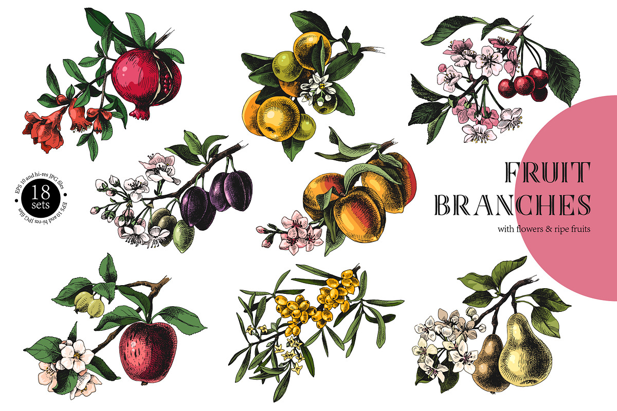 Natural food BUNDLE, a Food Illustration by handsketched (Photo 8 of 26)