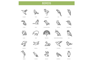 Set of different birds. Vector icons, an Animal Illustration by Tettygreen