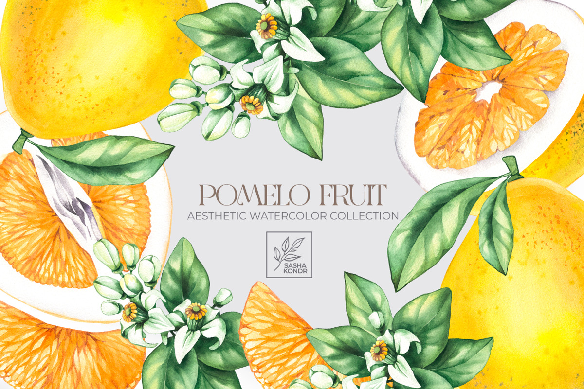 Pomelo Fruit Watercolor Collection, a Food Illustration by SashaKondr (Photo 1 of 13)