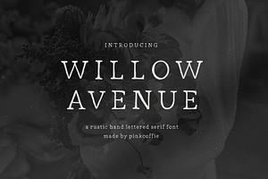 Willow Avenue Hand Lettered Serif