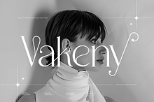Vakeny || Modern Simple Serif Font