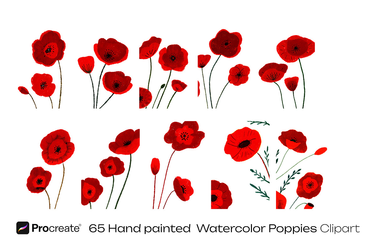 Watercolor Poppy Flowers, a Decorative Illustration by crafty (Photo 10 of 11)