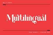 Marithin, a Serif Font by DYSA Studio (Thumbnail 14 of 15)