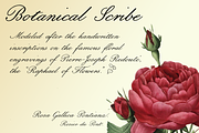 Botanical Scribe, a Script Font by Three Islands Press (Thumbnail 3 of 5)