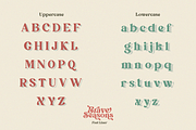 Brave Seasons - Modern Serif Font, a Serif Font by Font Liner (Thumbnail 11 of 14)