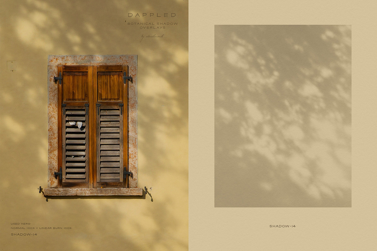 Dappled - Botanical Shadow Overlays, a Texture Graphic by alonahaidash (Photo 6 of 16)