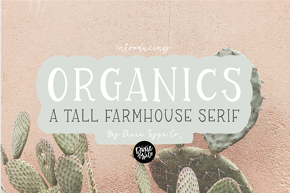 ORGANICS a Farmhouse Serif Font preview 8