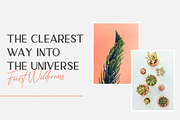 Anamortee // Modern Calligraphy Font, a Script Font by Vultype Co. (Thumbnail 2 of 13)