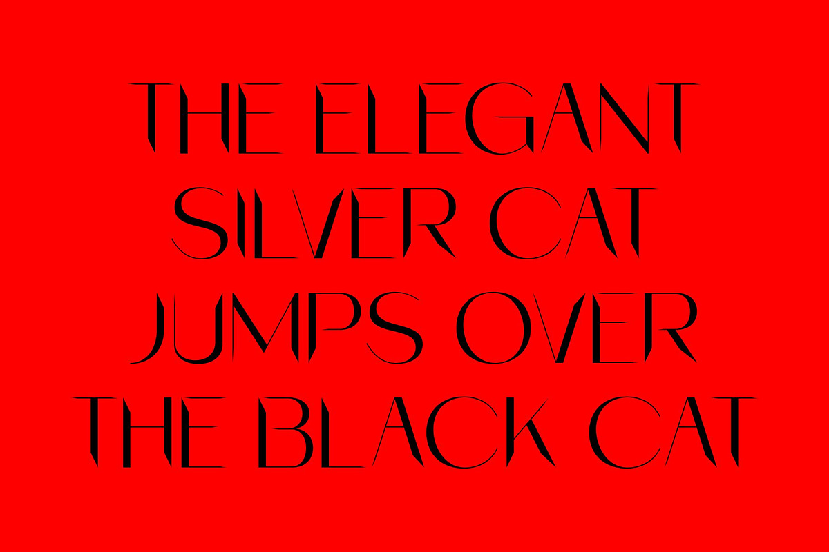 CS Wokley – Modern Sans Serif, a Sans Serif Font by Craft Supply Co. (Photo 7 of 8)