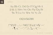 Bereft - Display Typeface, a Font by Only Fonts (Thumbnail 8 of 10)