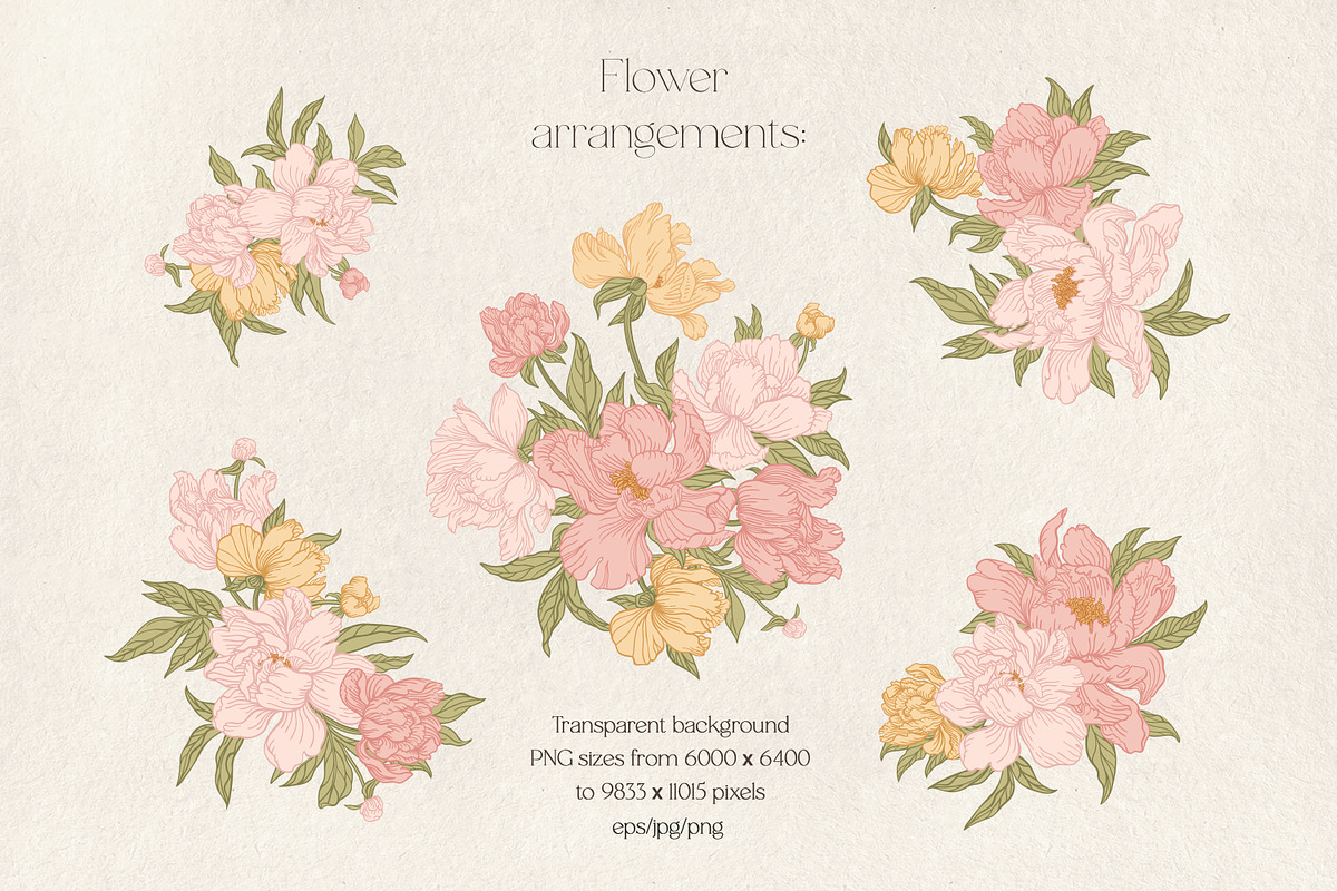 My lovely peonies. Color & B&W, an Illustration by Lisla (Photo 4 of 11)