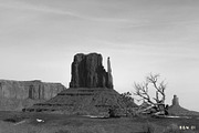 Stagecoach Lightroom Presets, a Brushes & More by Cactus Country (Thumbnail 9 of 11)