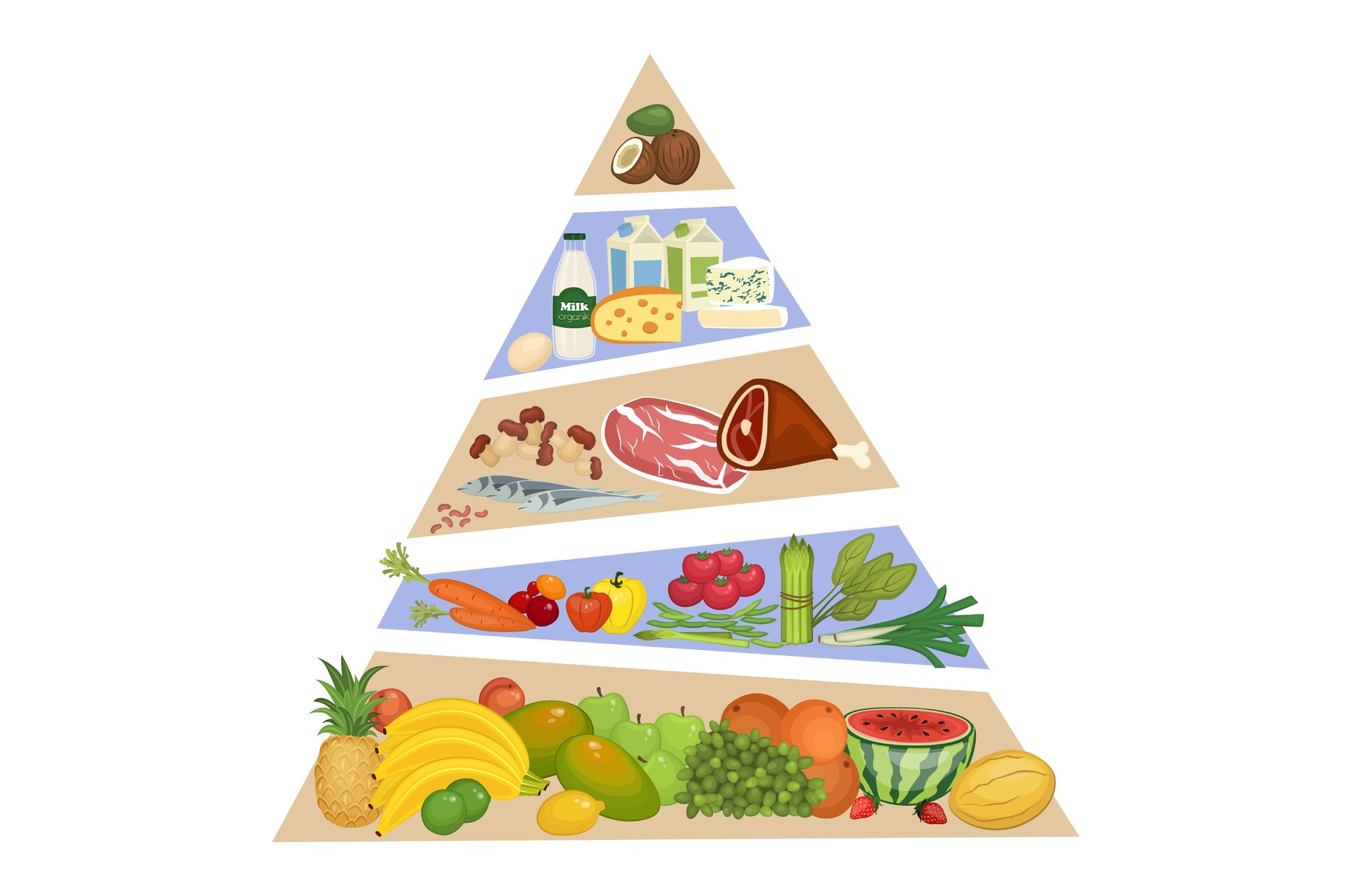 Food Pyramid Vector Concept in Flat Design, an Animal Illustration by ...