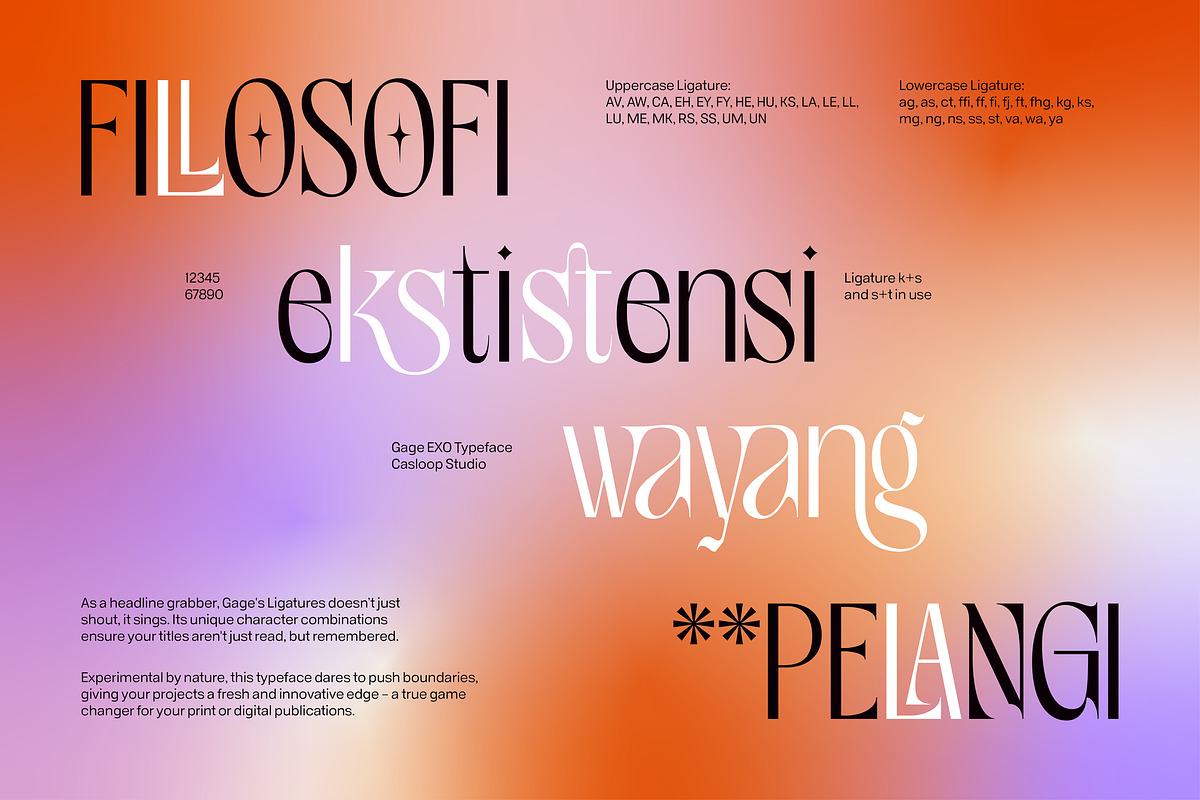 Gage EXO Elegant Display Font, a Sans Serif Font by Casloop Studio (Photo 7 of 9)