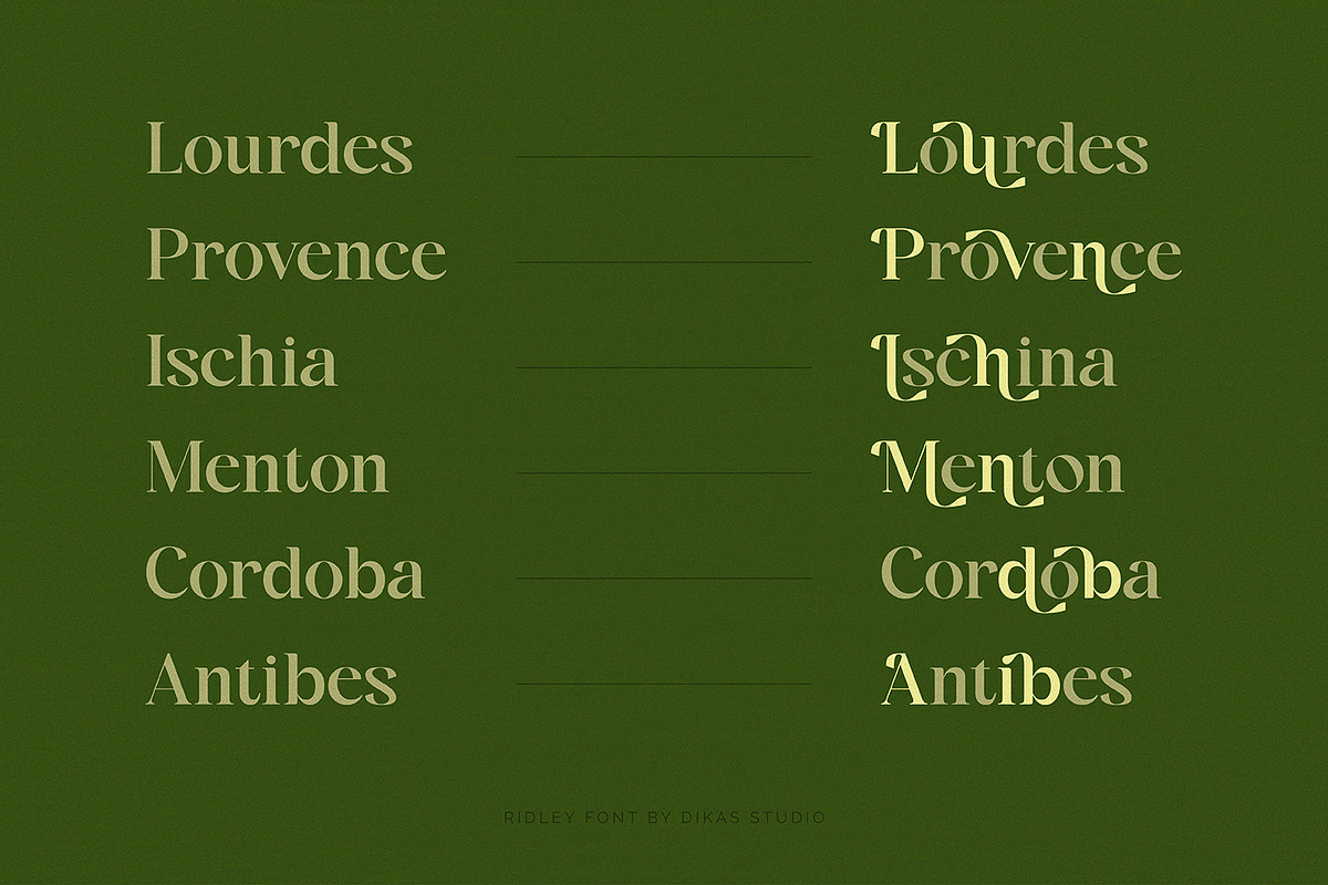 Ridley, a Serif Font by Dikas Studio (Photo 3 of 10)