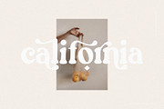 Groovy Fruity - Retro Serif, a Serif Font by Sans & Sons (Thumbnail 7 of 10)