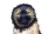 Puppies Dog Breeds Big Bundle 135Pcs, an Animal Illustration by Dneprstock (Thumbnail 2 of 68)