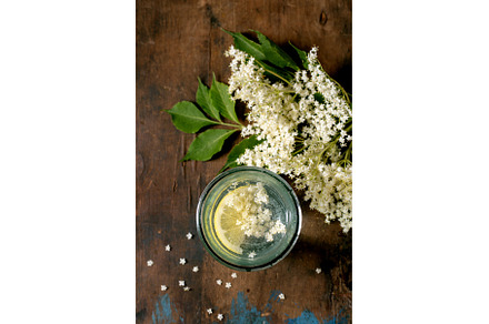 Elderflower drink with fresh white