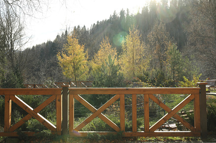 Wooden fence in sunny autumn day in mountain resort, a Nature Photo by AtlasStudio