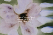 Abstract Blurry Floral Backgrounds, a Background Graphic by Lana Elanor (Thumbnail 10 of 12)