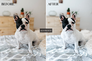 10 Bright & Airy Lightroom Presets, a Preset Add-On by LWPRESETS (Thumbnail 2 of 10)