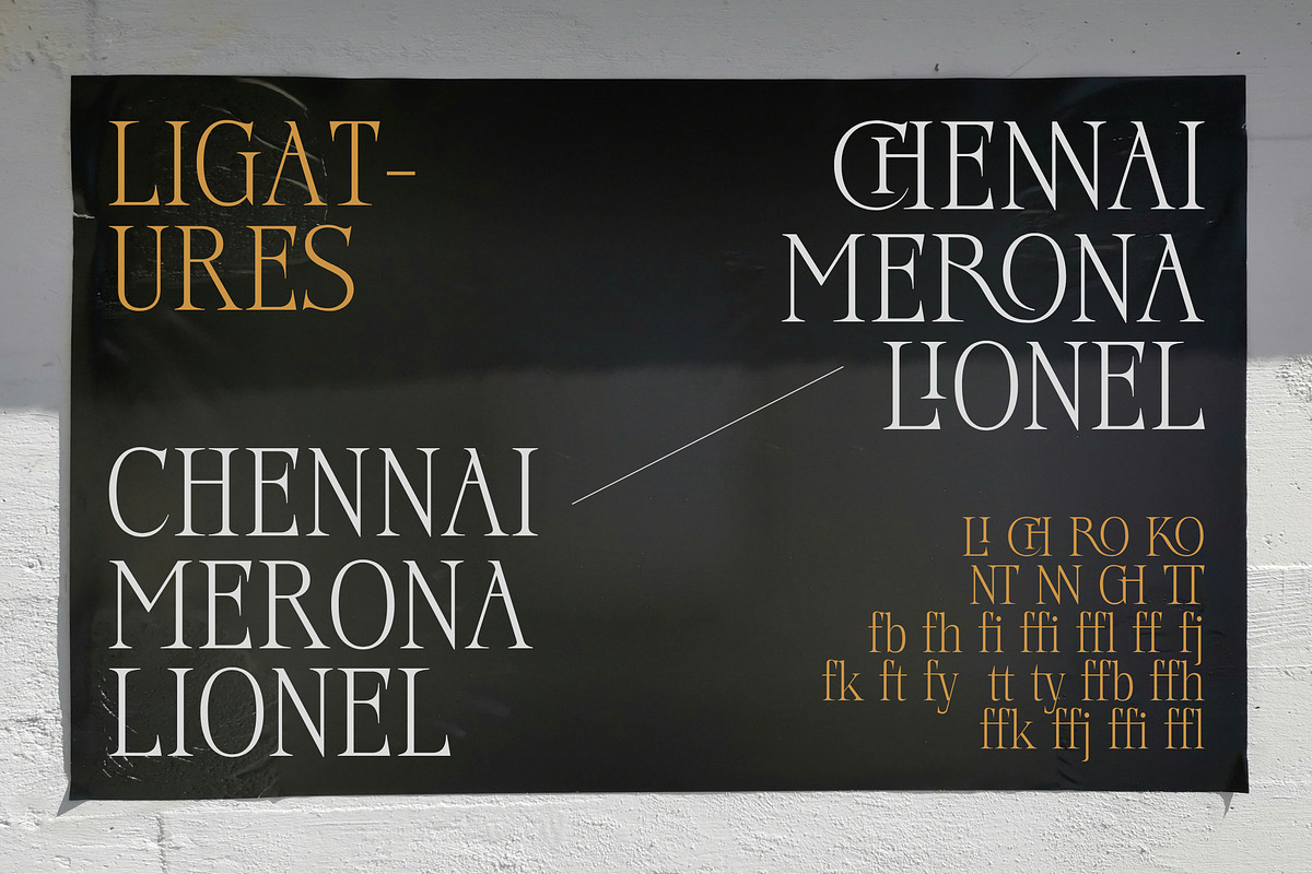 Chantress Vittorea, a Serif Font by Dora Typefoundry (Photo 12 of 12)