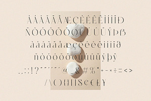 Migasike // Stylish Ligature Serif