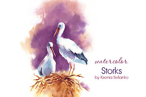 Storks