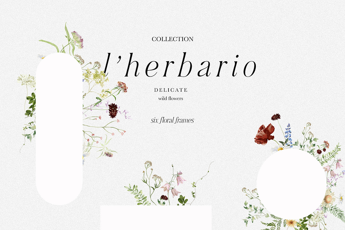l'Herbolario - Wild Floral Graphics, an Illustration by studioequinox (Photo 7 of 14)