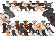 Scoodle, Scottiepoo dog mix, an Animal Illustration by pet design shop (Thumbnail 1 of 6)