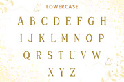Amoura - Floral Monogram Font, a Symbol Font by AnningArts (Thumbnail 7 of 7)