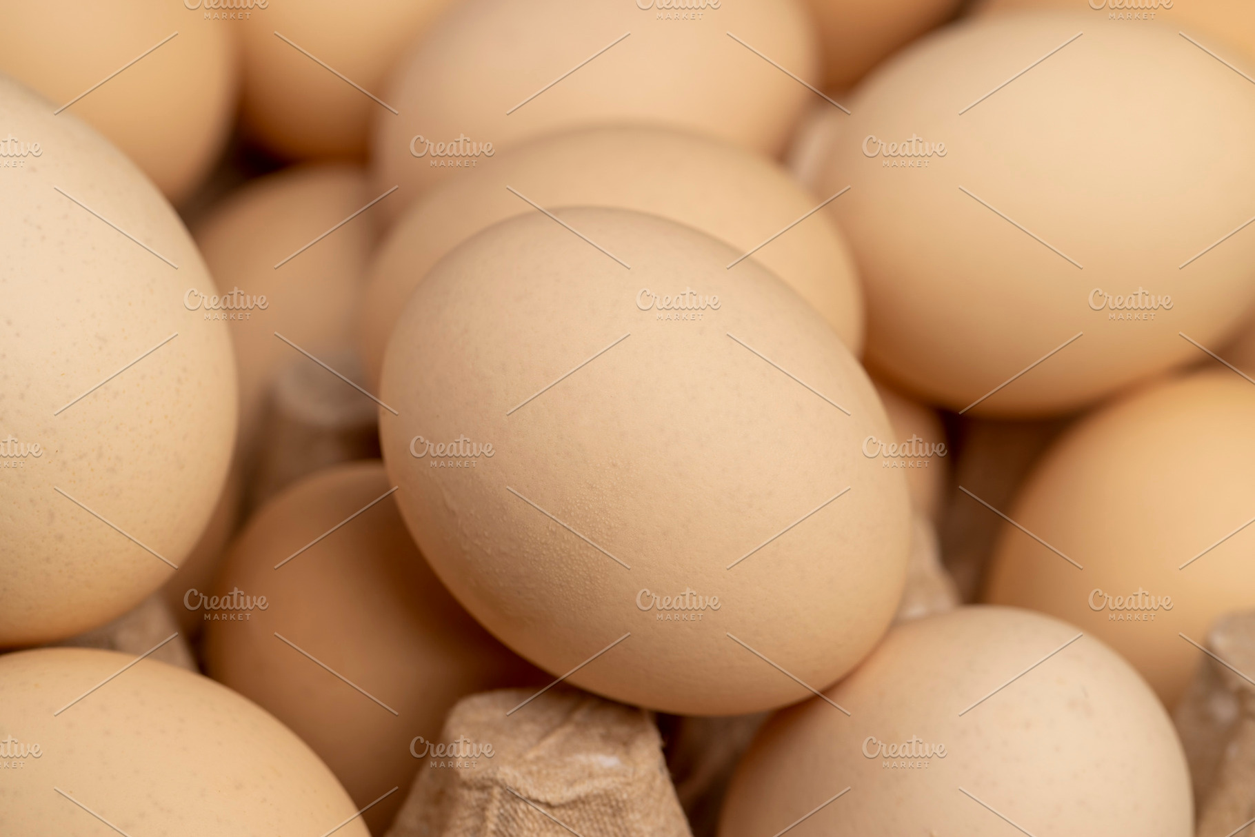 fresh chicken eggs during packaging, light chicken eggs in paper packaging, a Photo by rsoollAI