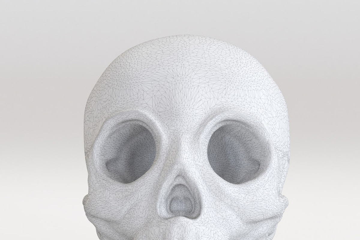 Skull, a 3D by maxtracing2 (Photo 6 of 11)