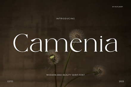 Camenia - Modern And Beauty Serif