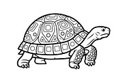 Turtle Line Art Illustration Bundle, an Illustration by Creativeshirt (Thumbnail 9 of 48)