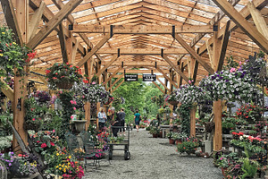 Greenhouse Garden Oasis