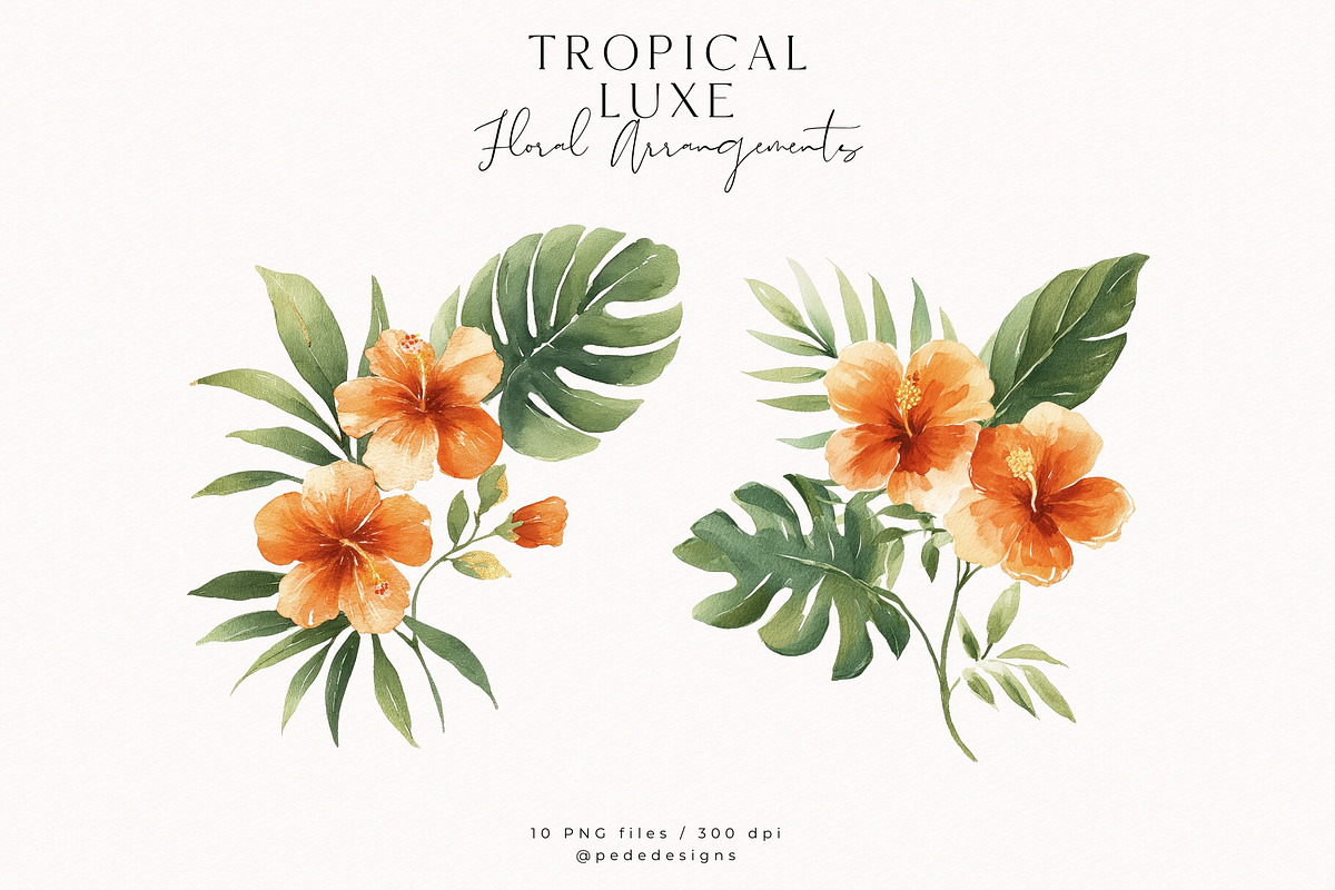 Tropical Luxe Collection, an Illustration by PeDe Designs (Photo 13 of 28)
