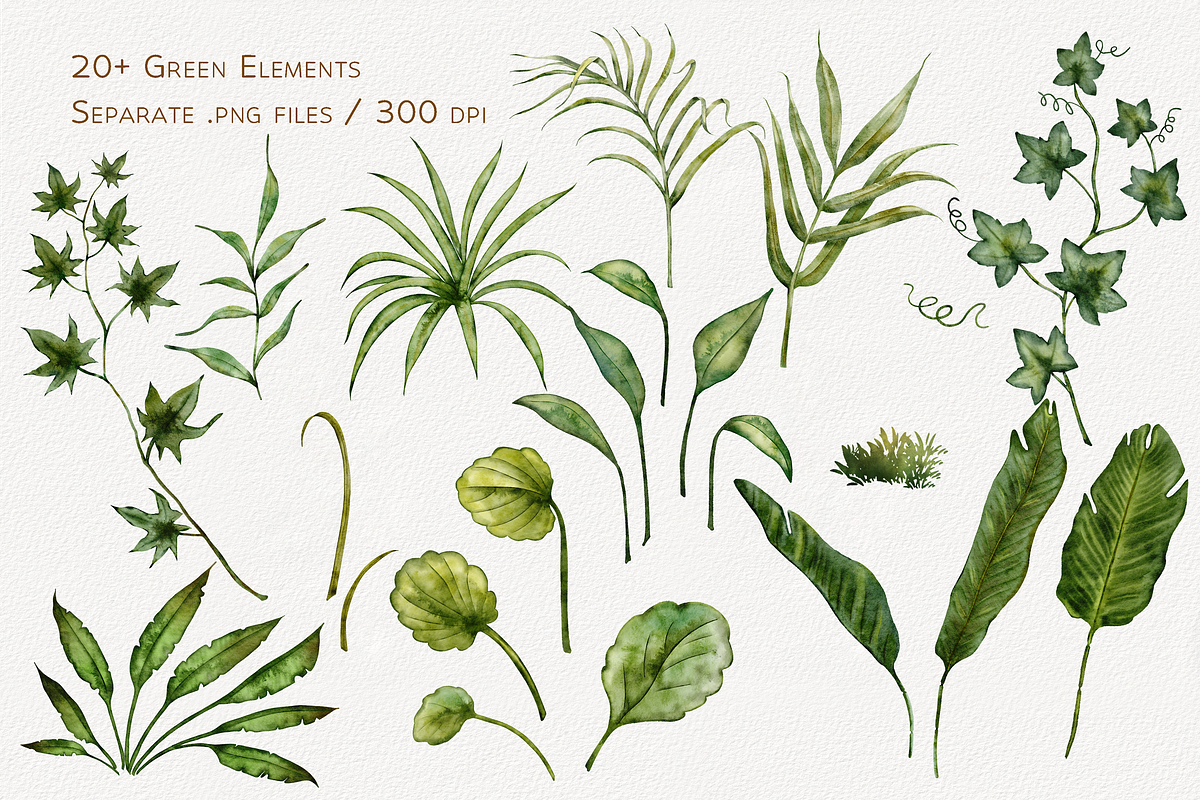 Houseplants Watercolor Collection, a Decorative Illustration by Aurella Art (Photo 3 of 15)