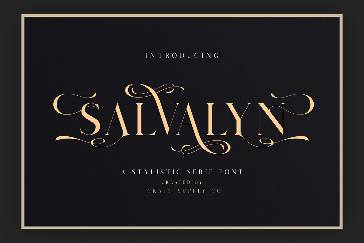 Salvalyn - Stylistic Serif Font, a Serif Font by Craft Supply Co. (Photo 12 of 12)