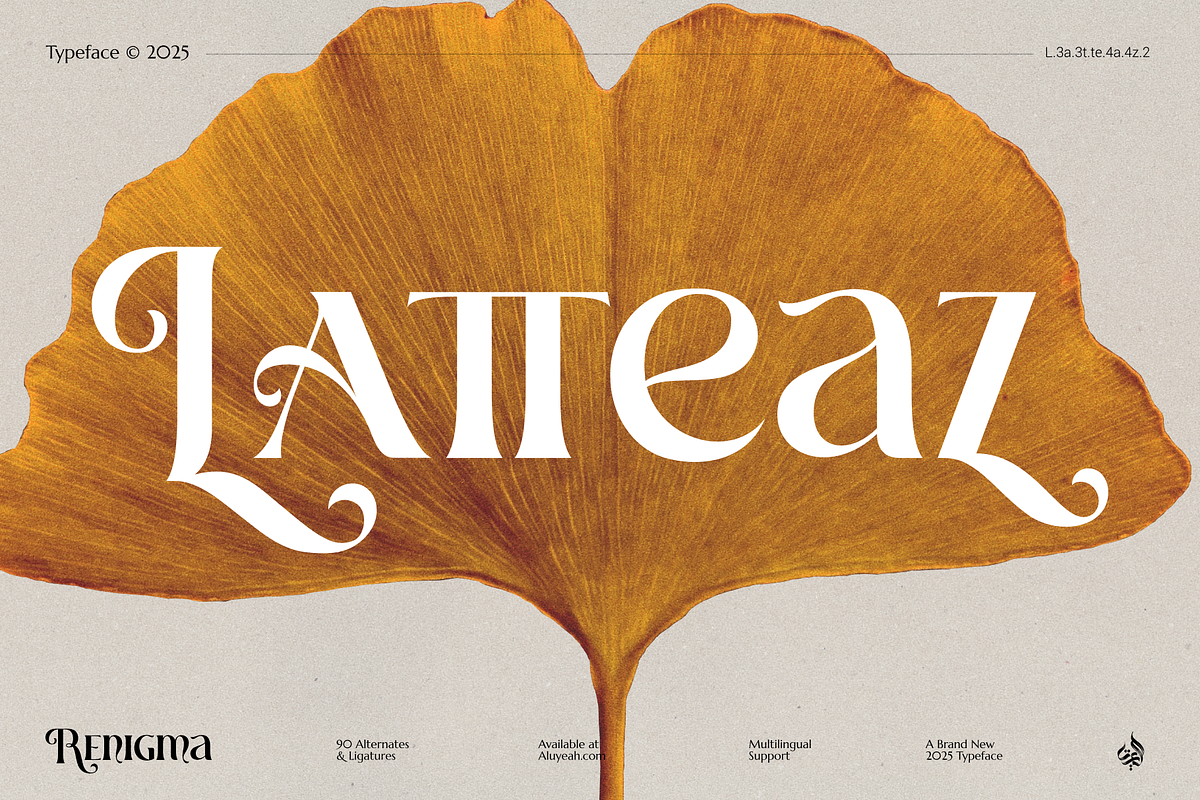 Renigma, a Serif Font by Aluyeah Studio (Photo 3 of 15)