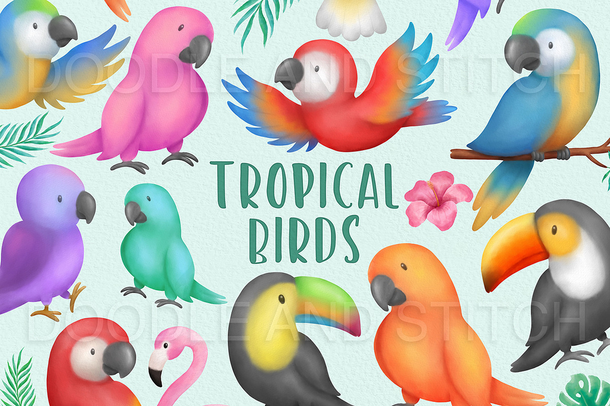 Tropical Birds Watercolor Clipart, an Illustration by Doodle and Stitch (Photo 1 of 2)
