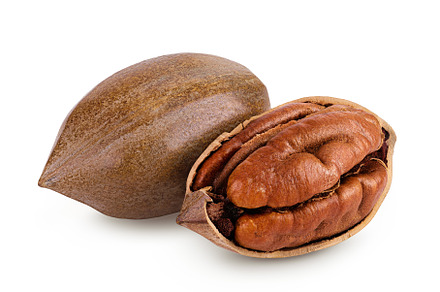 pecan nut isolated on white, a Food & Drink Photo by NataPhoto