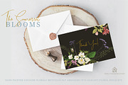 The Somerset Blooms - Clip Arts Set, an Illustration by SmallHouseBigPony (Thumbnail 9 of 9)