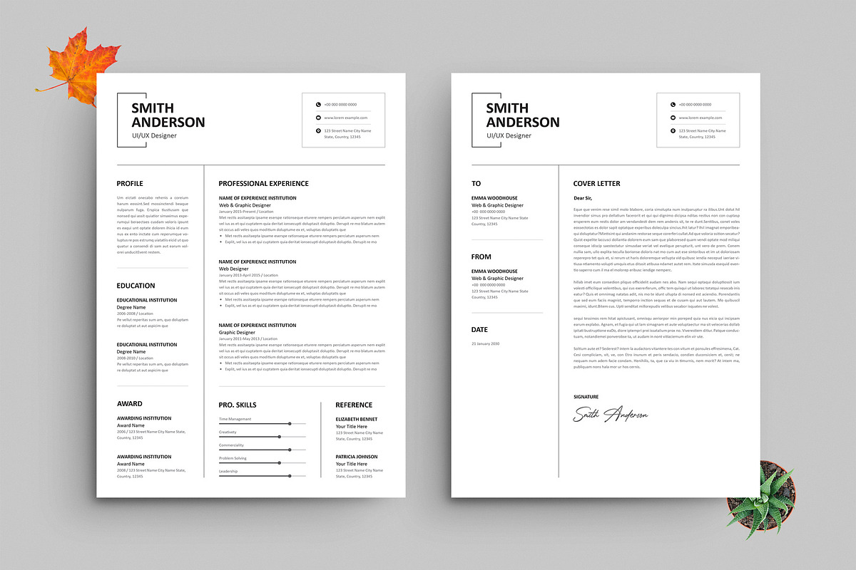 Professional Resume Template Layout