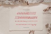 Qandeliya | Handwritten Signature, a Script Font by gracetype_studio (Thumbnail 11 of 12)