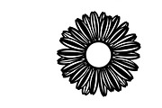 Charming daisy circle decor design, an Illustration by Amazin_art (Thumbnail 21 of 27)