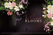 The Somerset Blooms - Clip Arts Set, an Illustration by SmallHouseBigPony (Thumbnail 1 of 9)